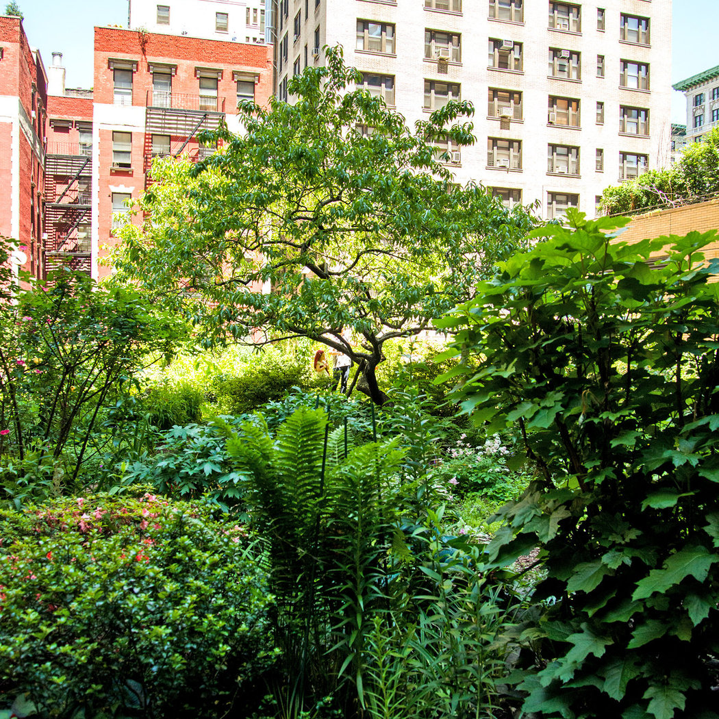 The Lotus Garden Public Hours 2