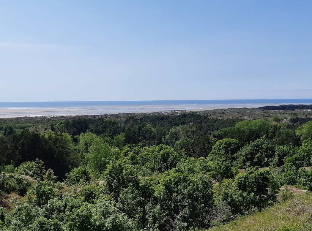 Réserve naturelle nationale de la baie de Canche 2