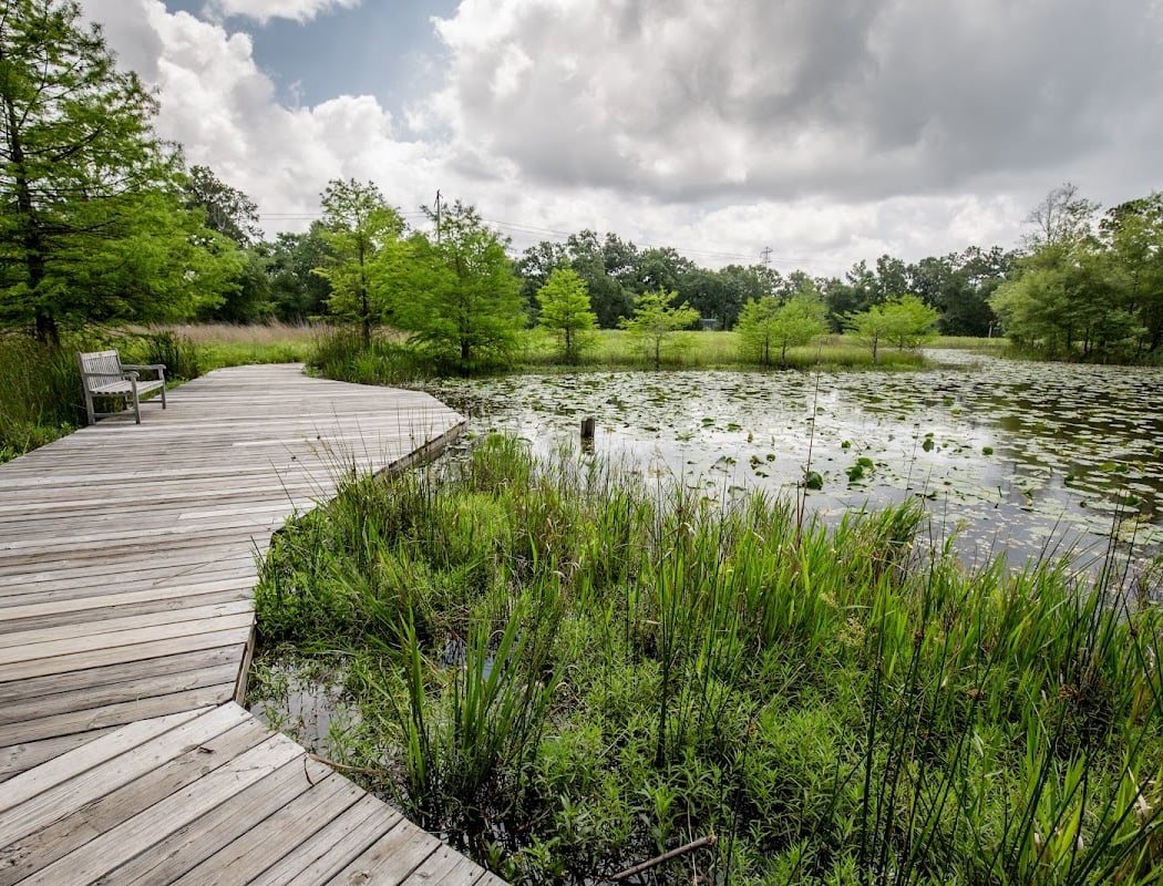 Houston Arboretum & Nature Center 1