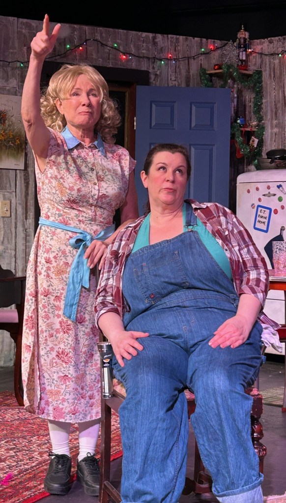Cloverdale Performing Arts Center 3