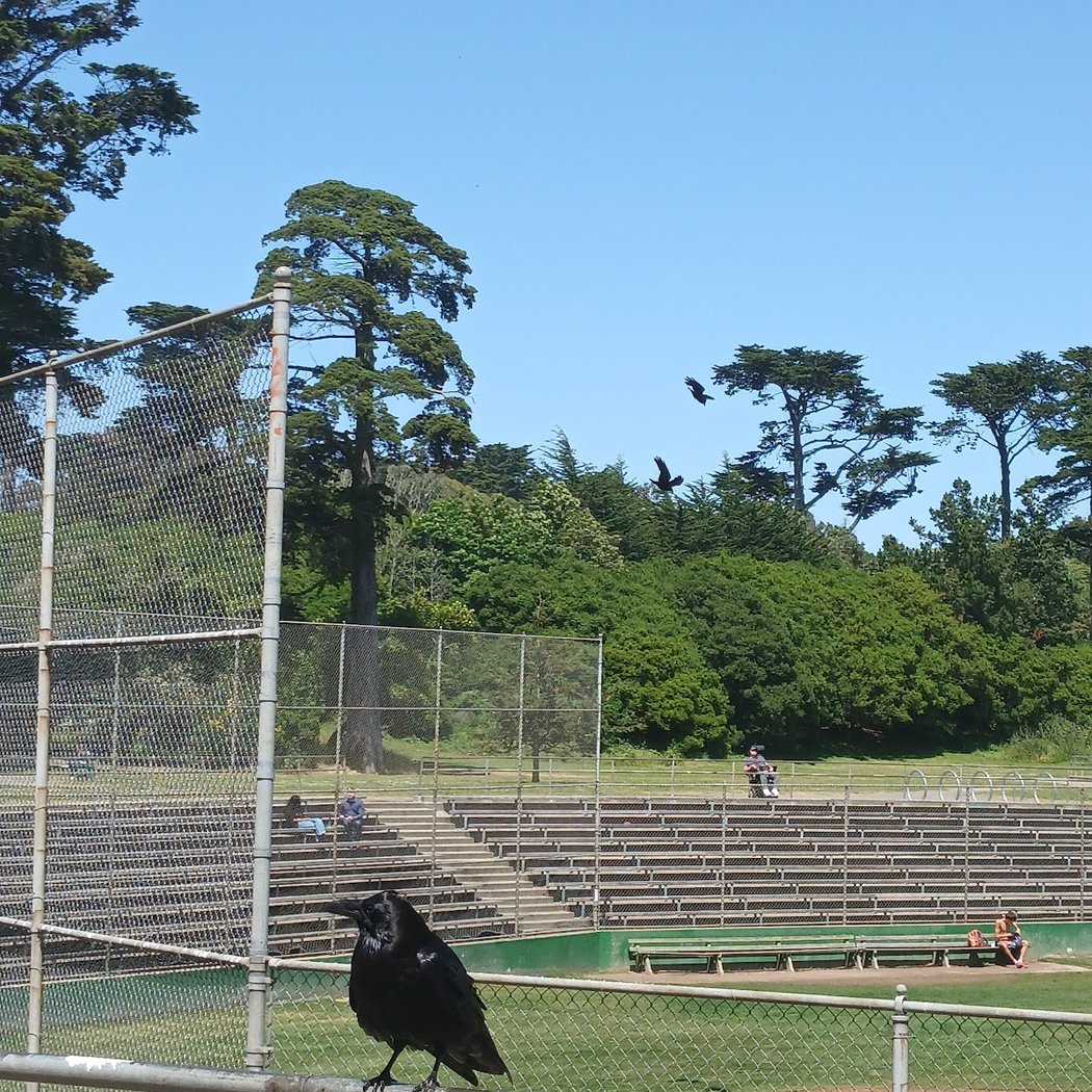 Big Rec Ball Field 3
