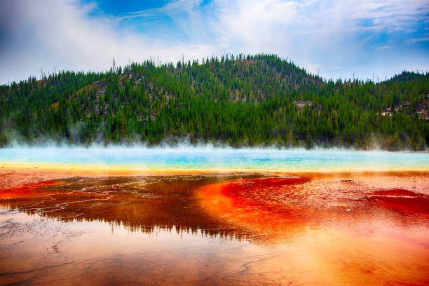 Yellowstone National Park 3