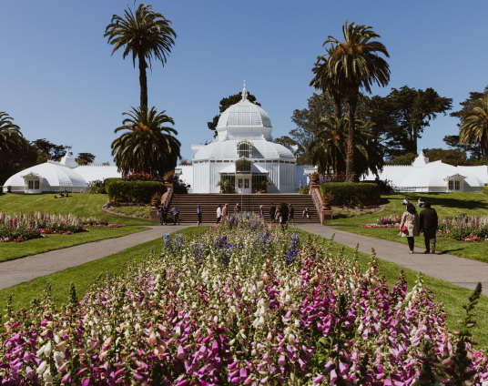 Conservatory of Flowers 1