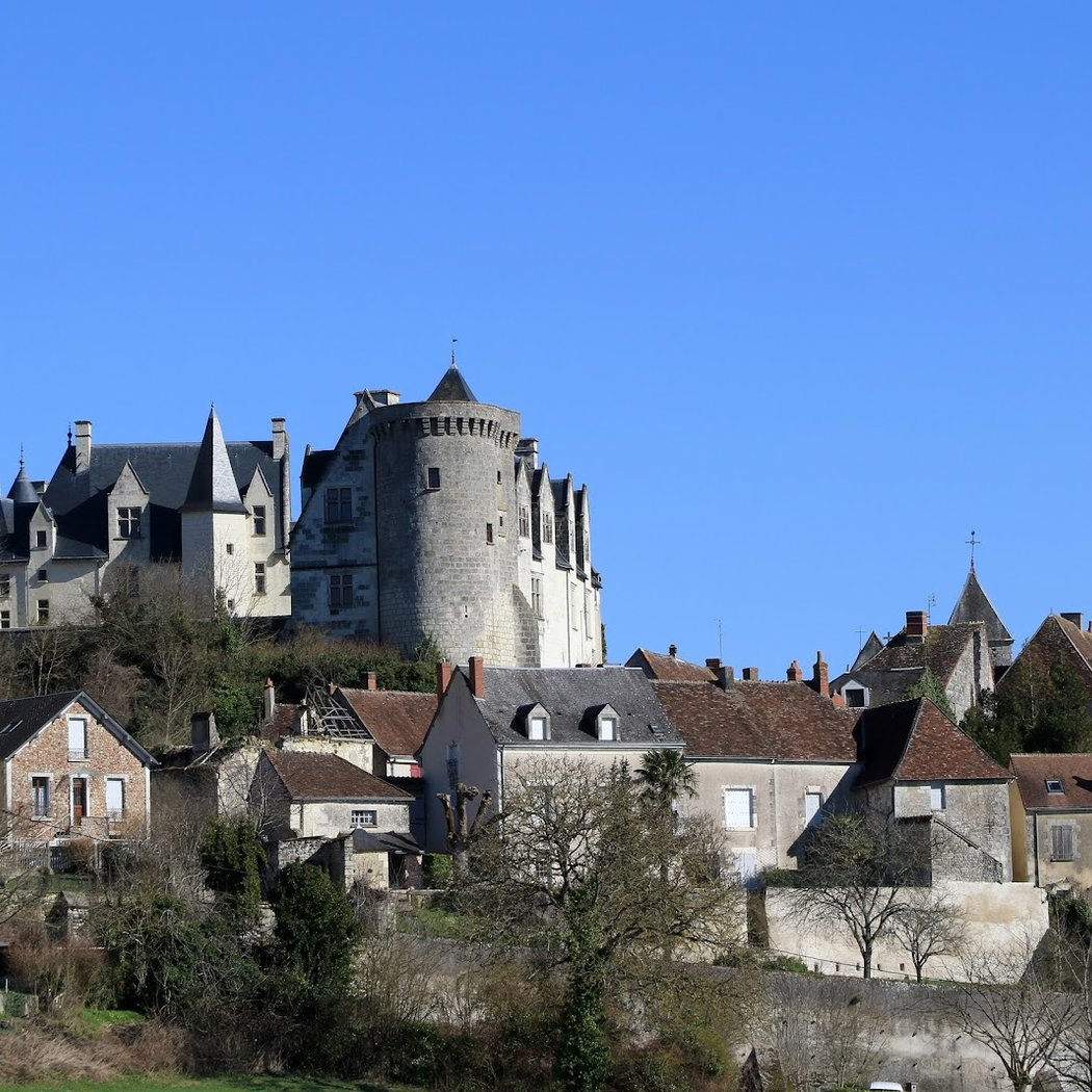 Château de Palluau-sur-Indre 1