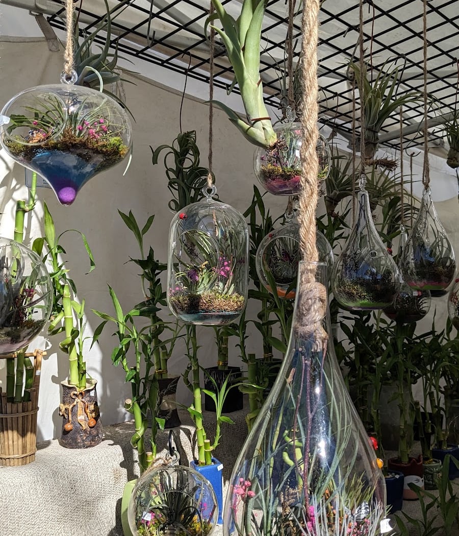 Winter Art Show: Natural Wonders 3