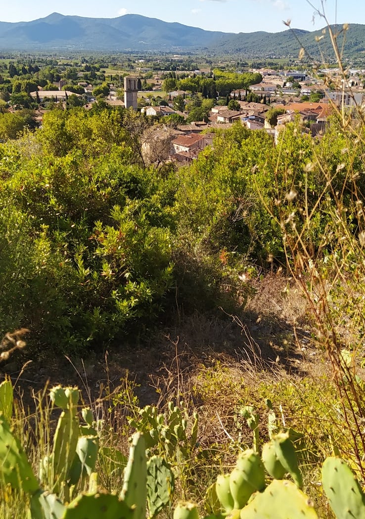 Le Luc 1