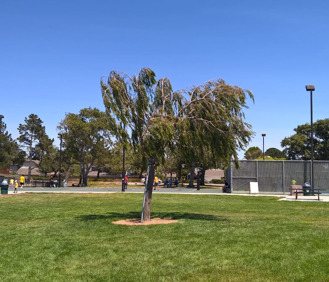 Basketball Court | Catamaran Park 2