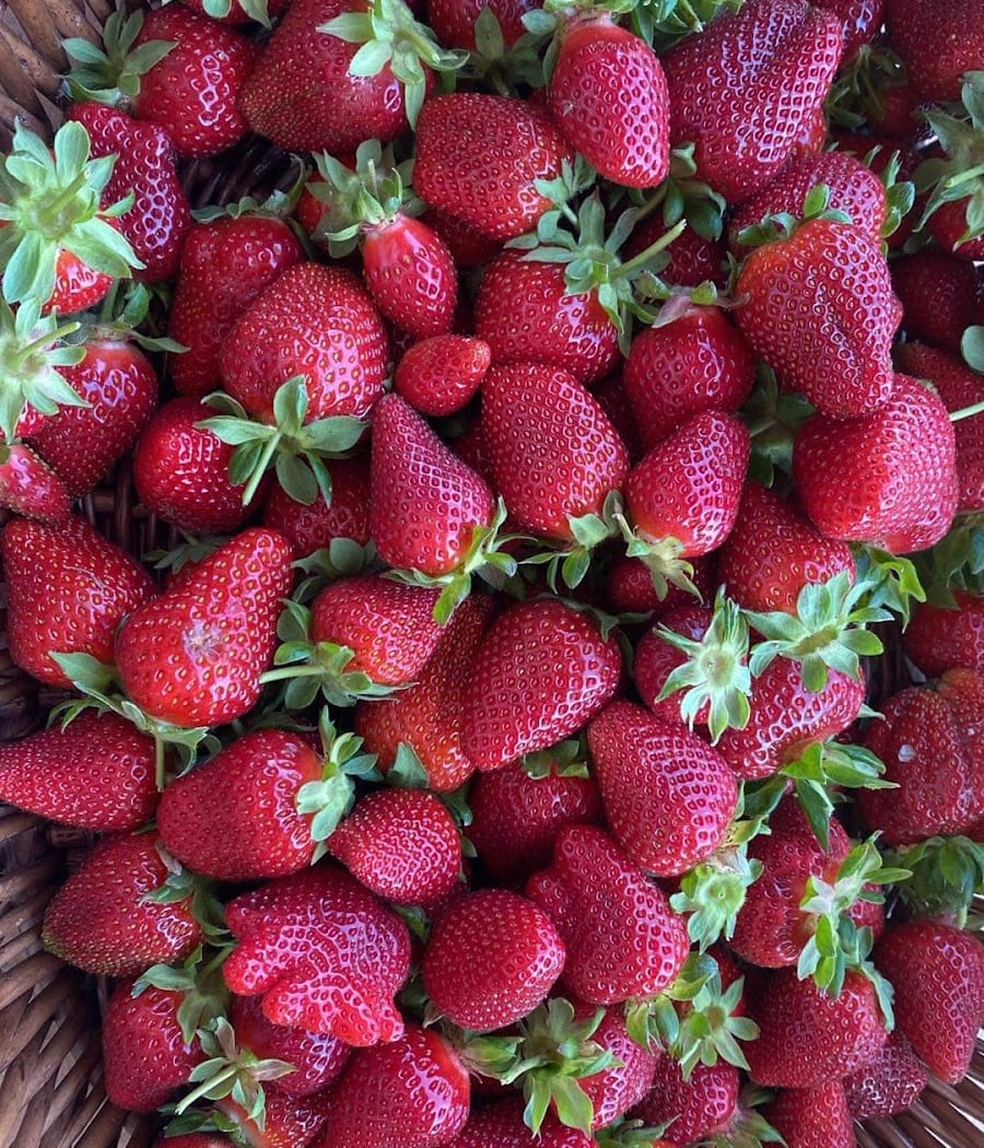 Chao's Strawberries 1