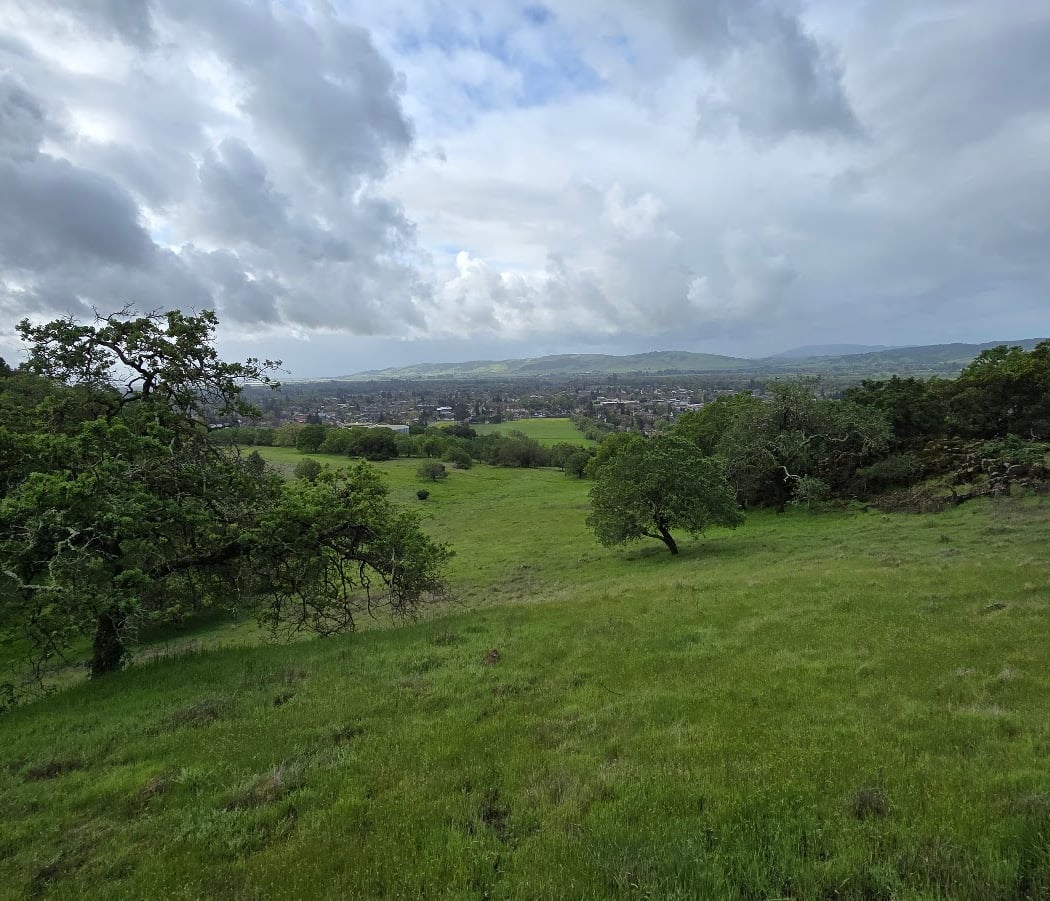 Montini Open Space Preserve 2