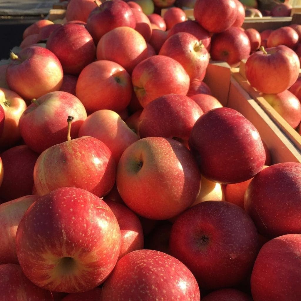 Inwood Greenmarket 1