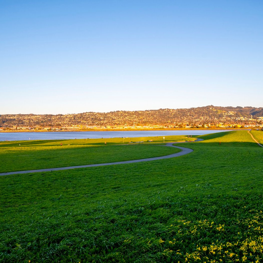 Scenic View 1