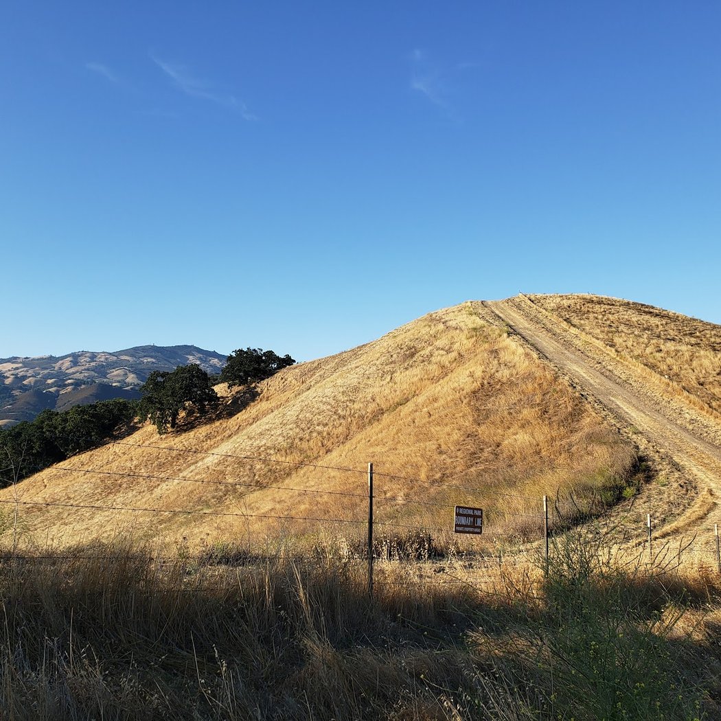 Sycamore Valley Regional Open Space Preserve 3