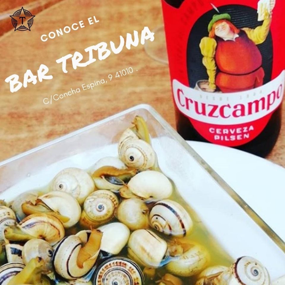 Bar Tribuna 3