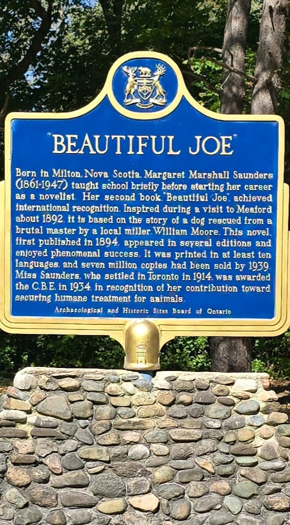 Beautiful Joe Park 3