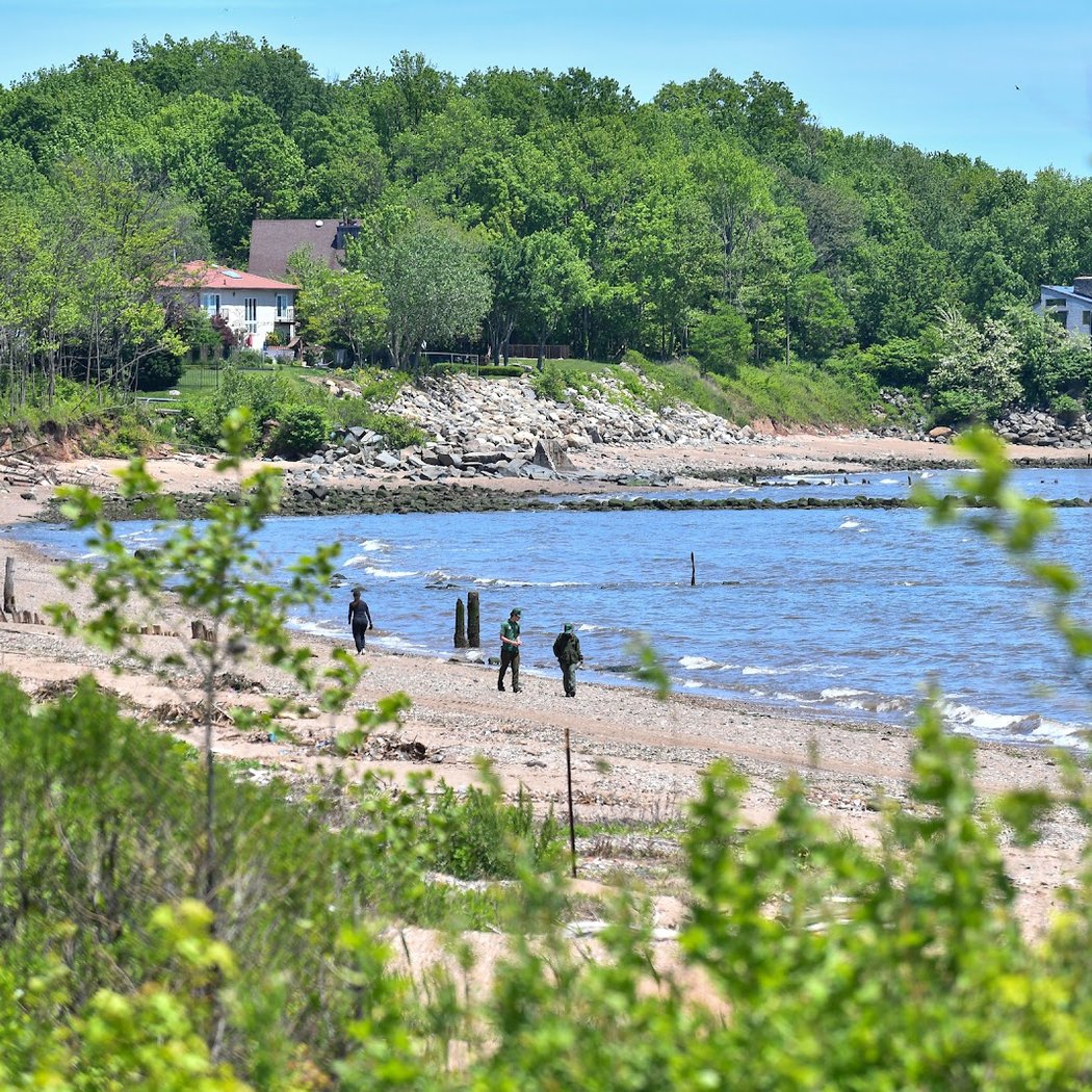 Wolfe's Pond Park 3