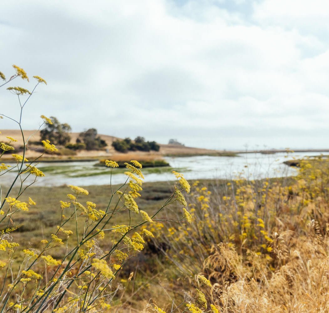 Bedwell Bayfront Park 2