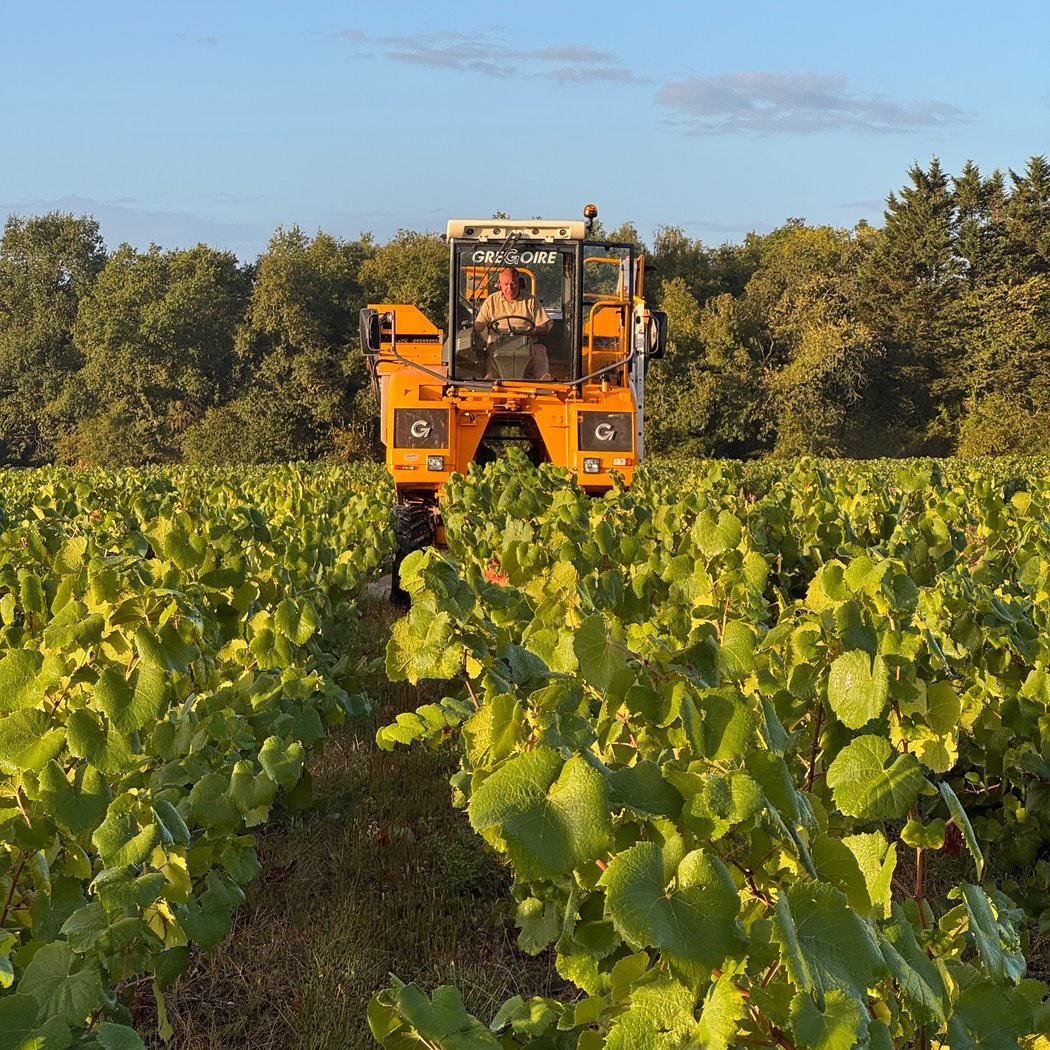 Domaine de la Chevrue "muscadet - nantais" 3