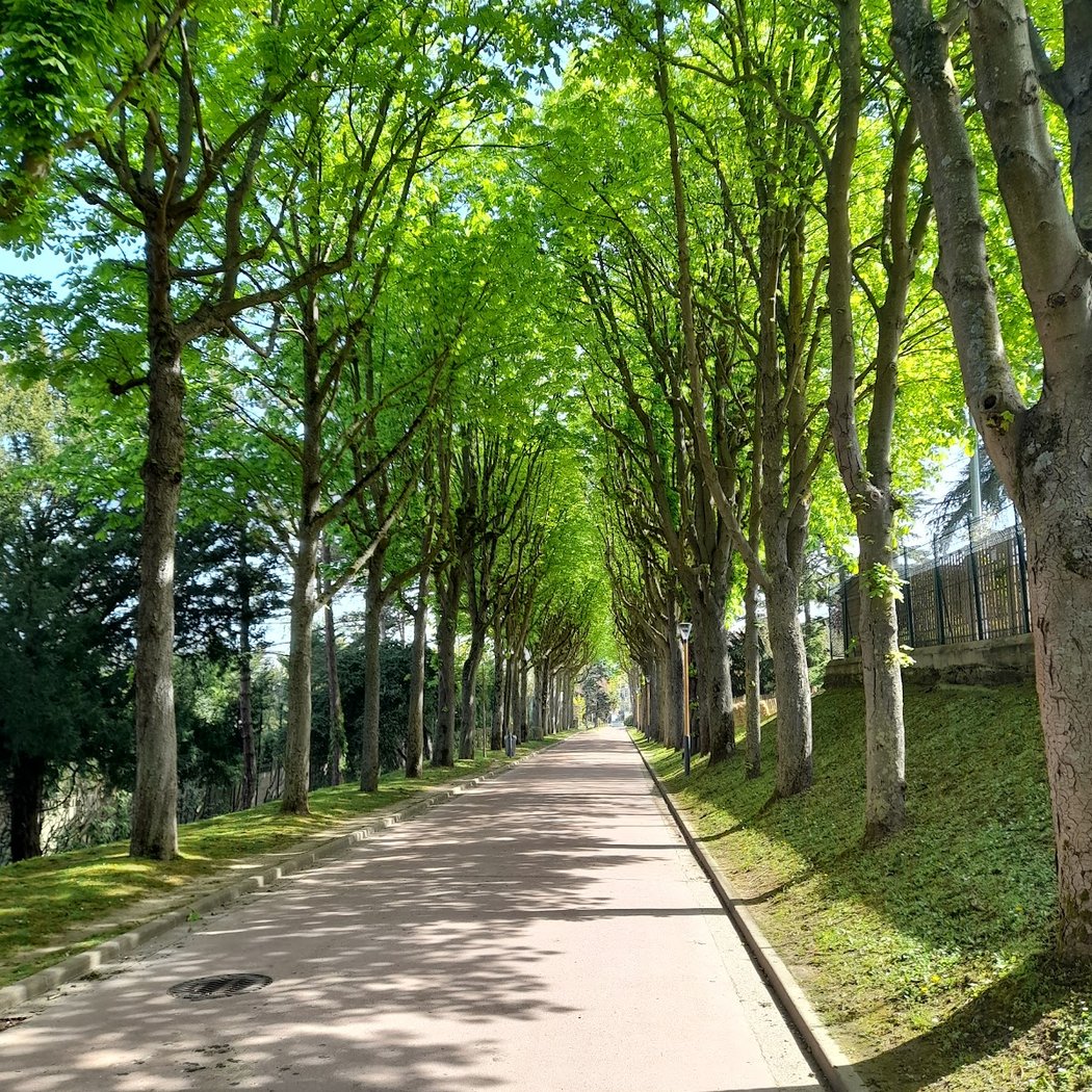Parc Henri Barbusse 1