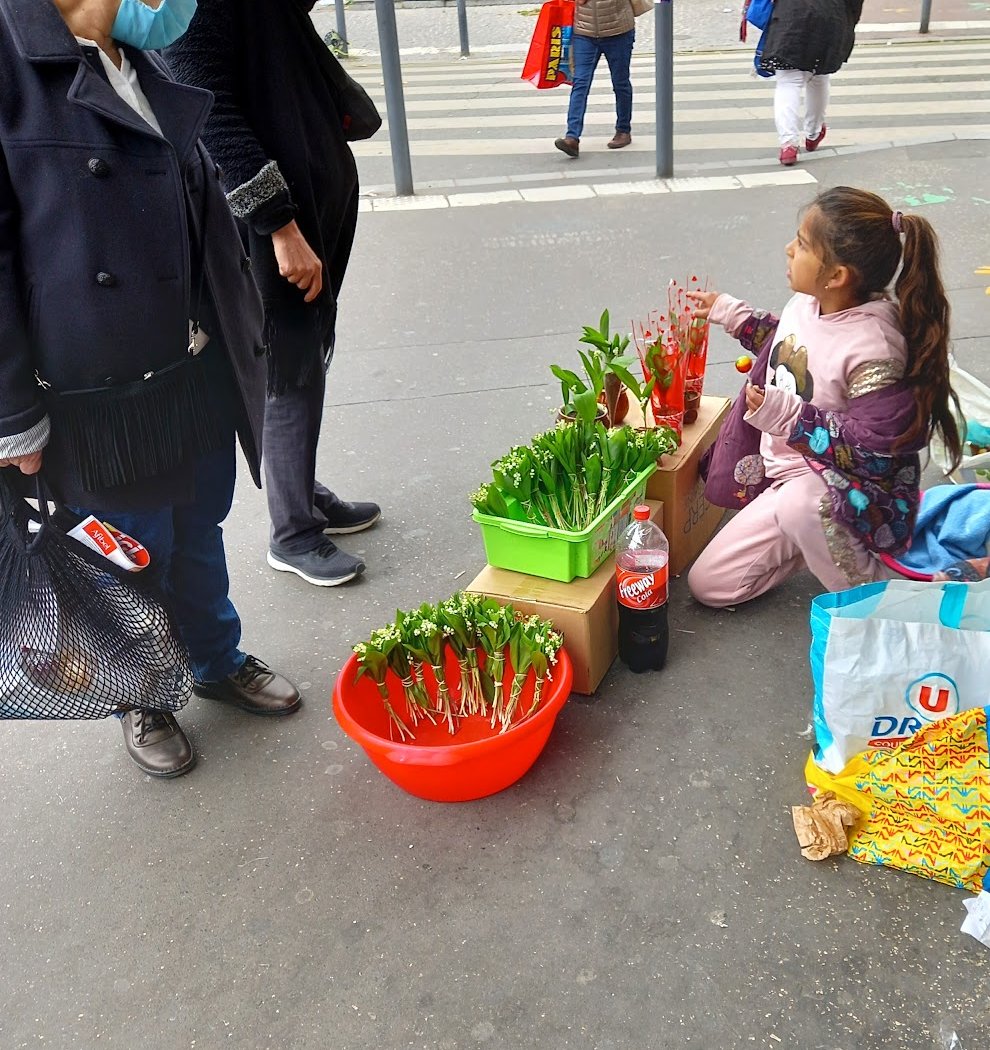 Avenue de Paris 3