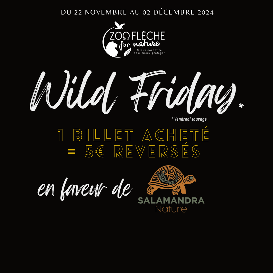 Wild Friday 2024 1