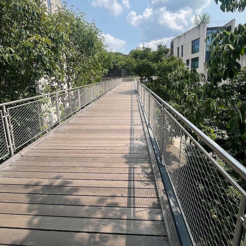 Squibb Park Bridge 2