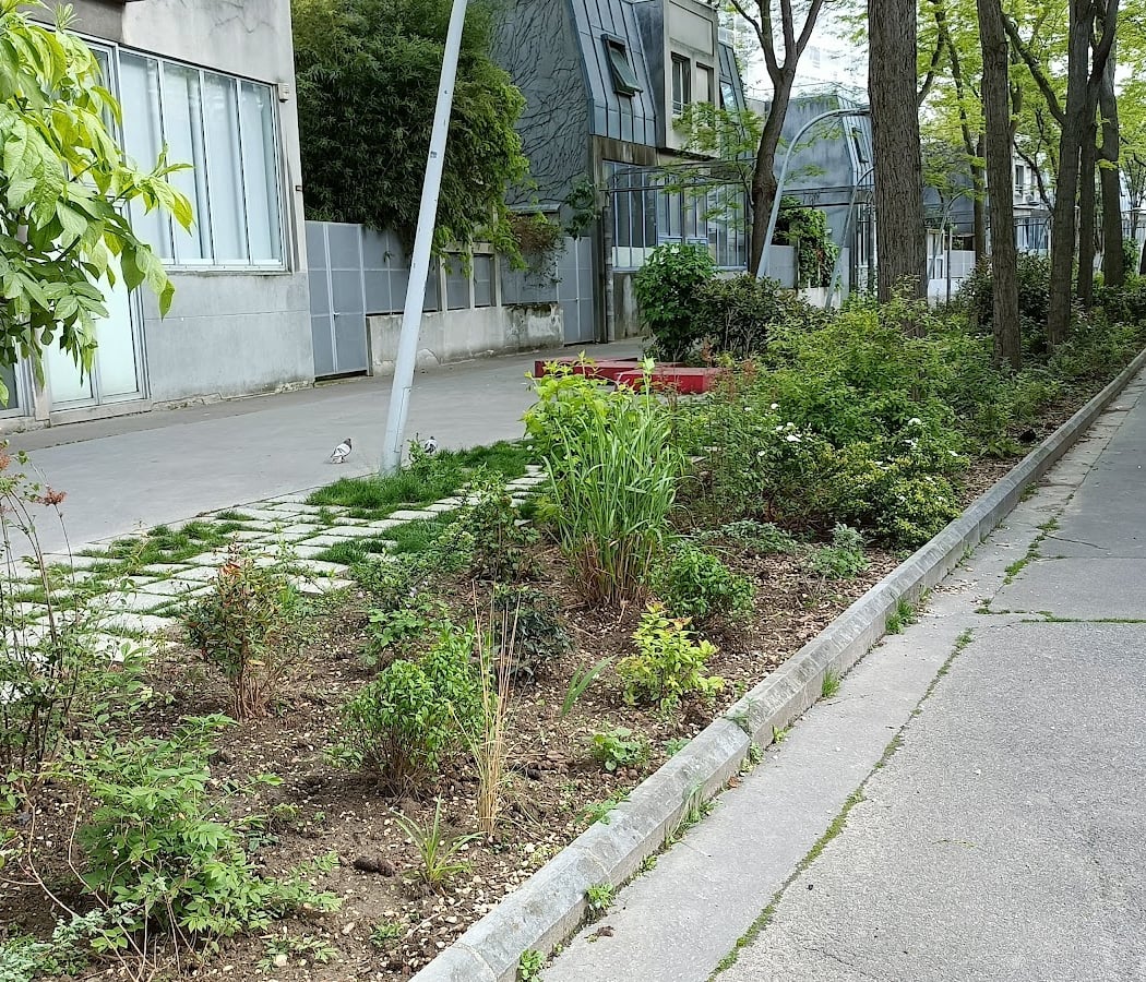 Coulée verte 2