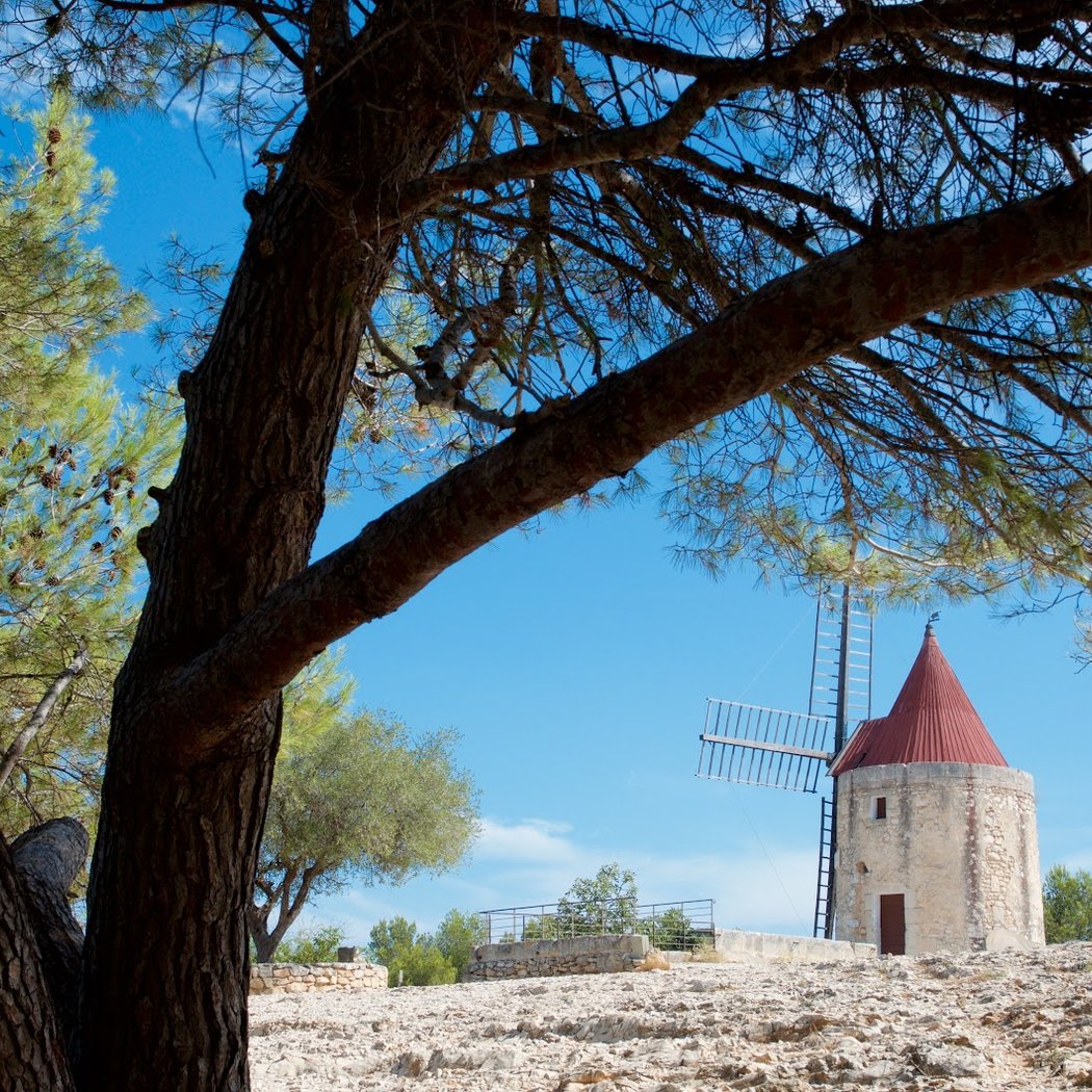 Fontvieille 1