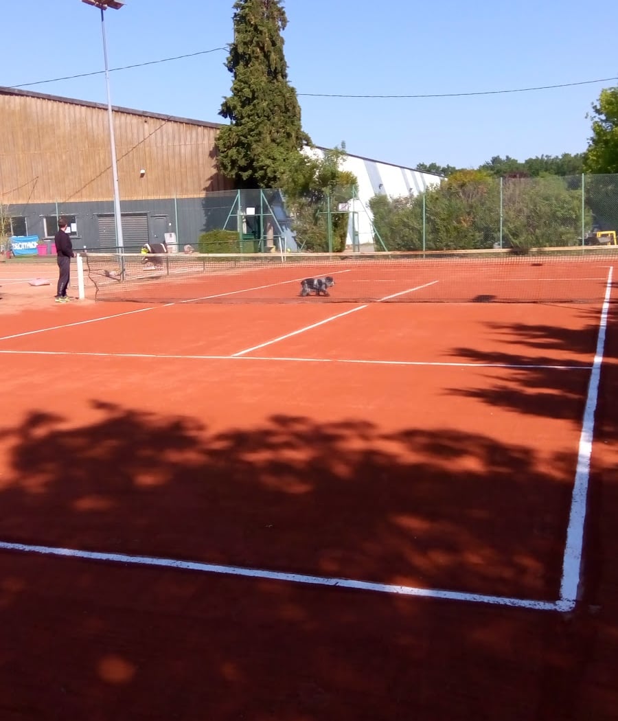 Tennis des Quatre Saisons Angers Sud 2