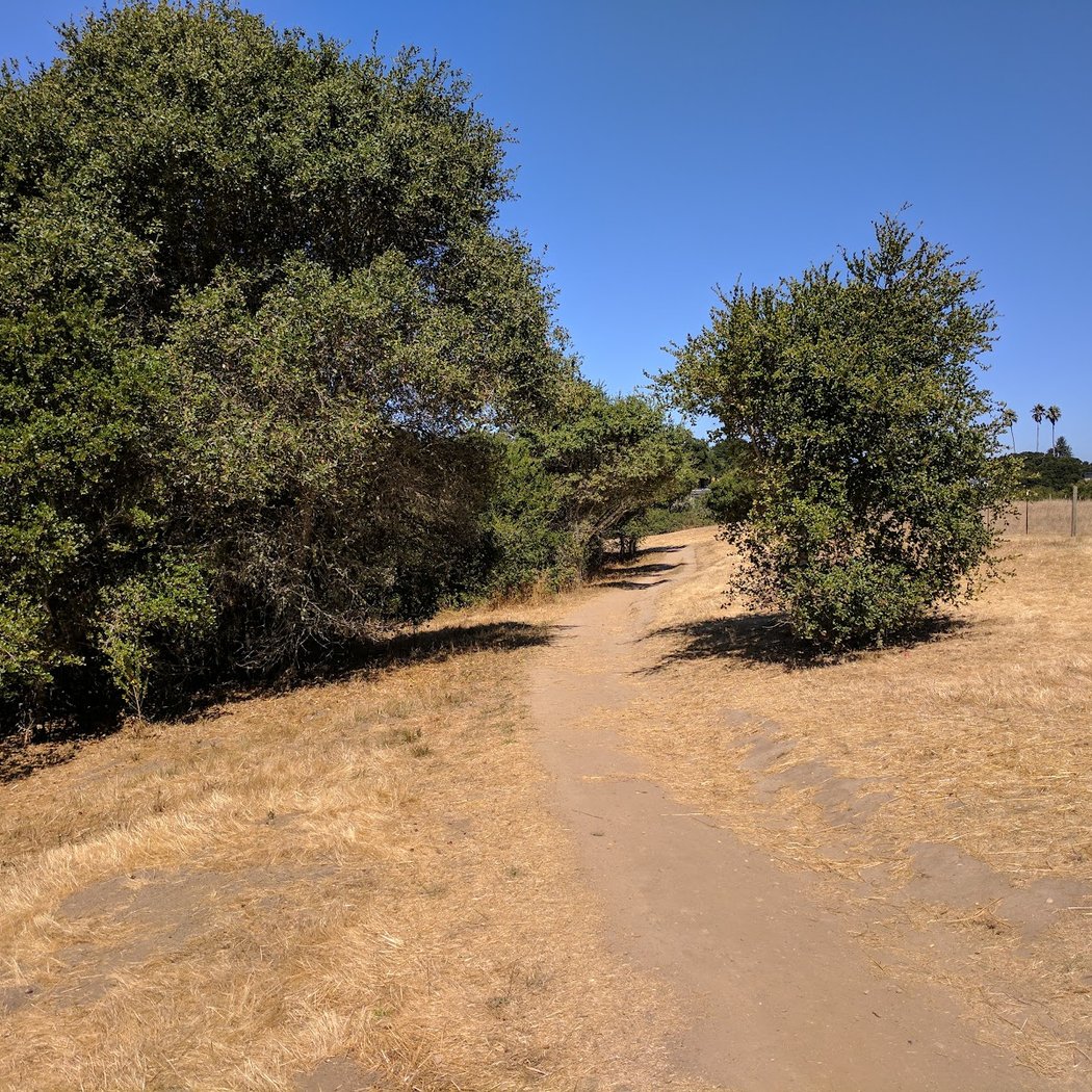 Arana Gulch Trail 3