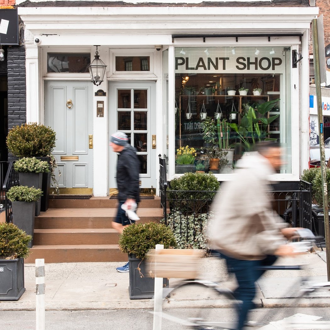 The Old Yew Plant Shop 2