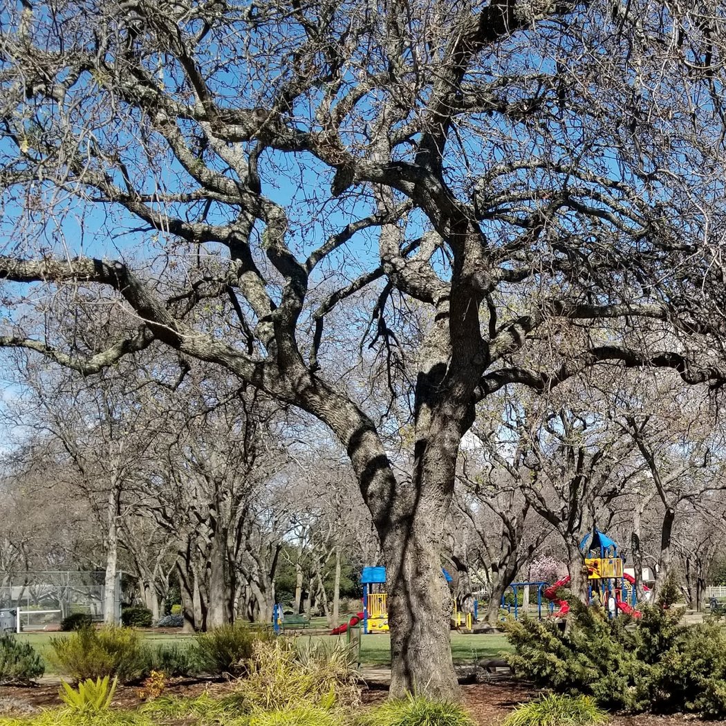 Vacaville 2