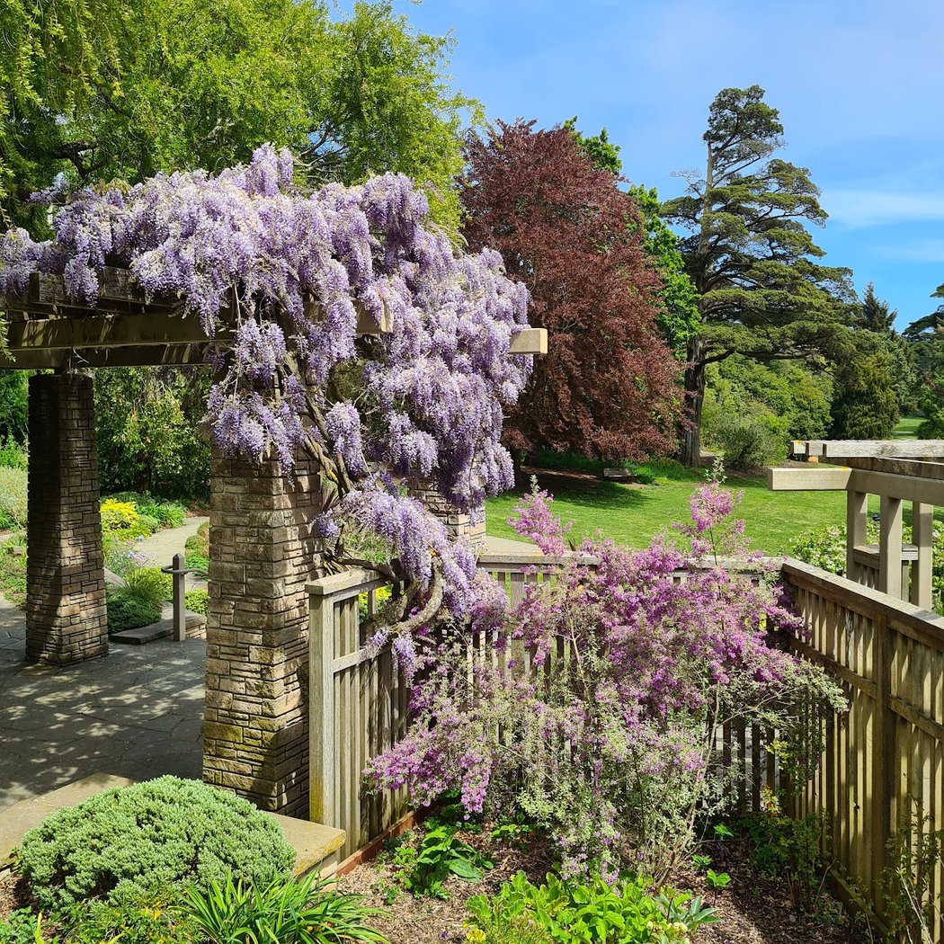 Zellerbach Garden of Perennials 1