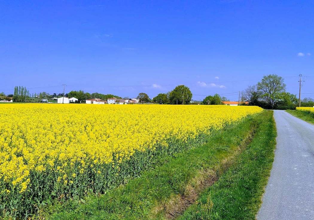 Divatte-sur-Loire 1