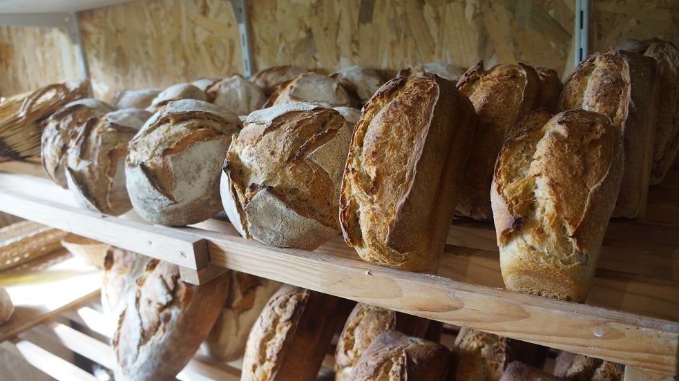 Guinguette-fournil La Cueilleuse Nort-sur-Erdre