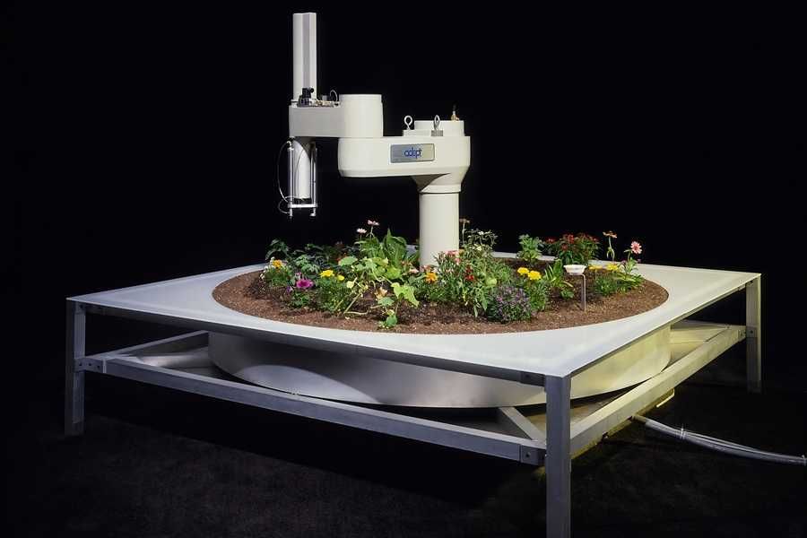 Ancient Wisdom for a Future Ecology: Trees, Time, and Technology 1