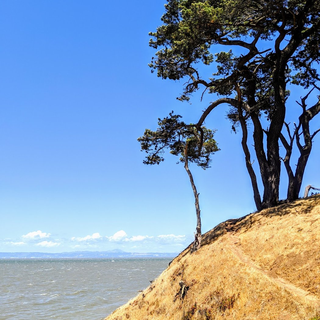 Coyote Point Drive 1