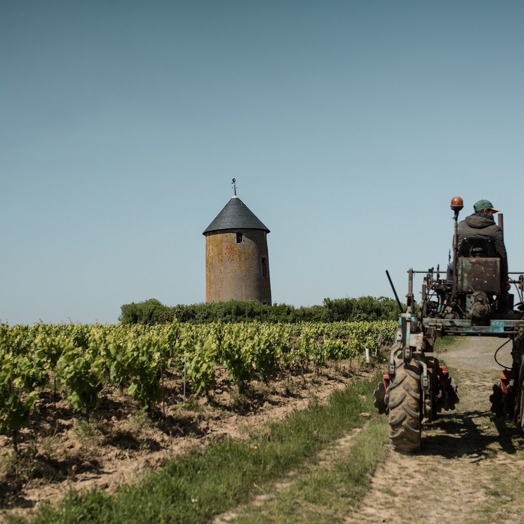 Domaine Ménard-Gaborit 2