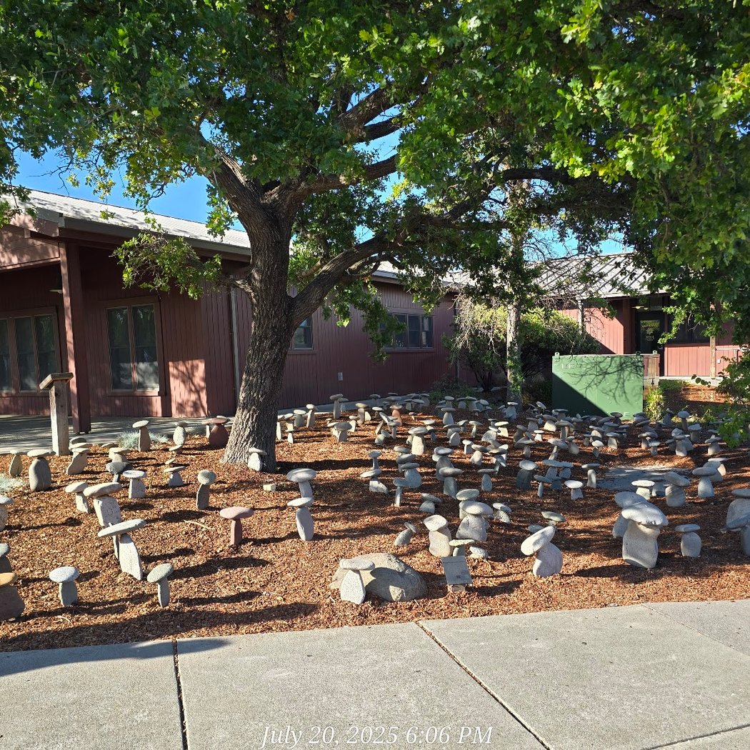 Yountville's 9 Weeks of Summer Fun 5