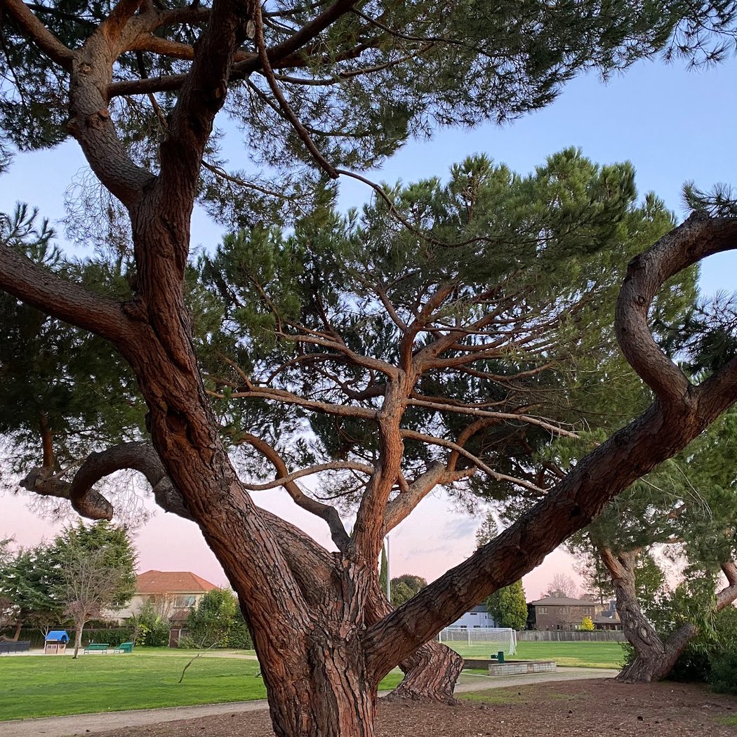 Henry W. Seale Park 3