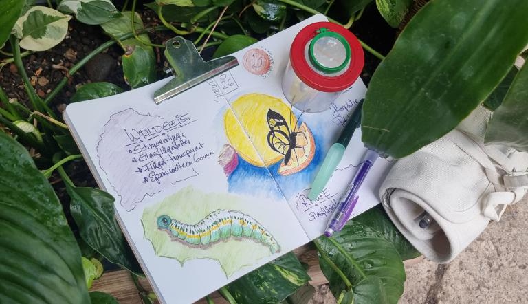 Nature Journaling für Schattenkinder