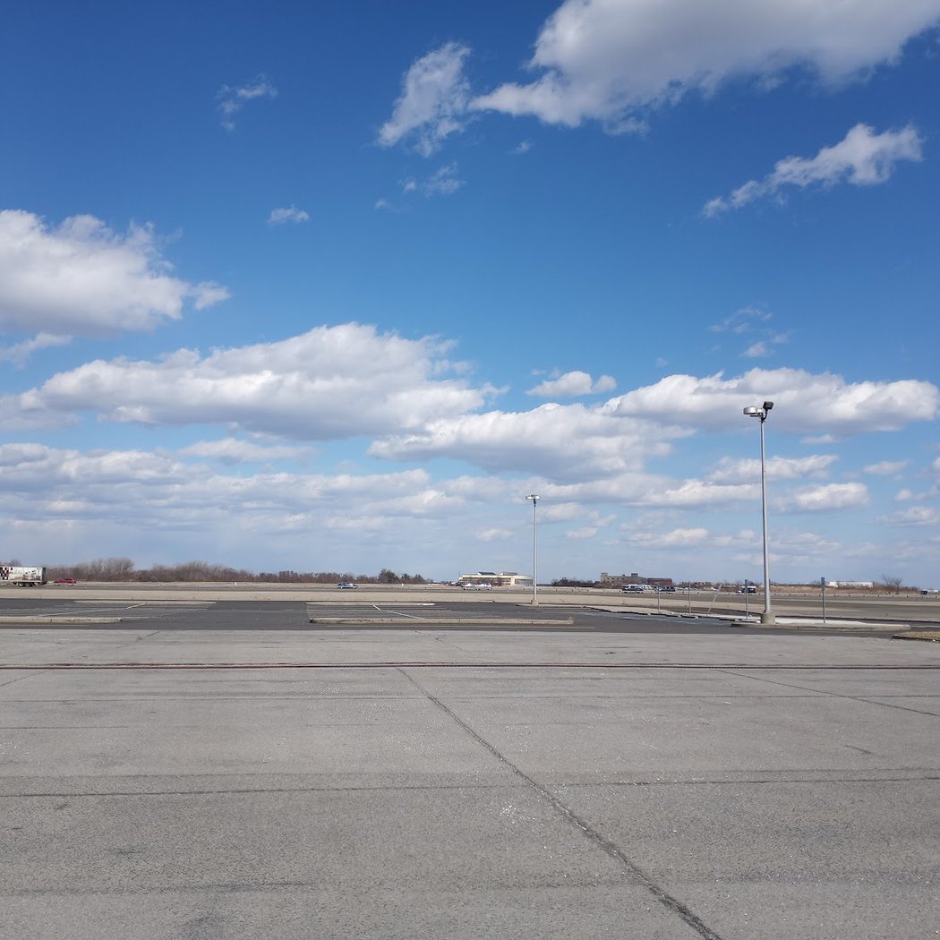 Fall Birding at Floyd Bennett Field with NYC Bird Alliance 1