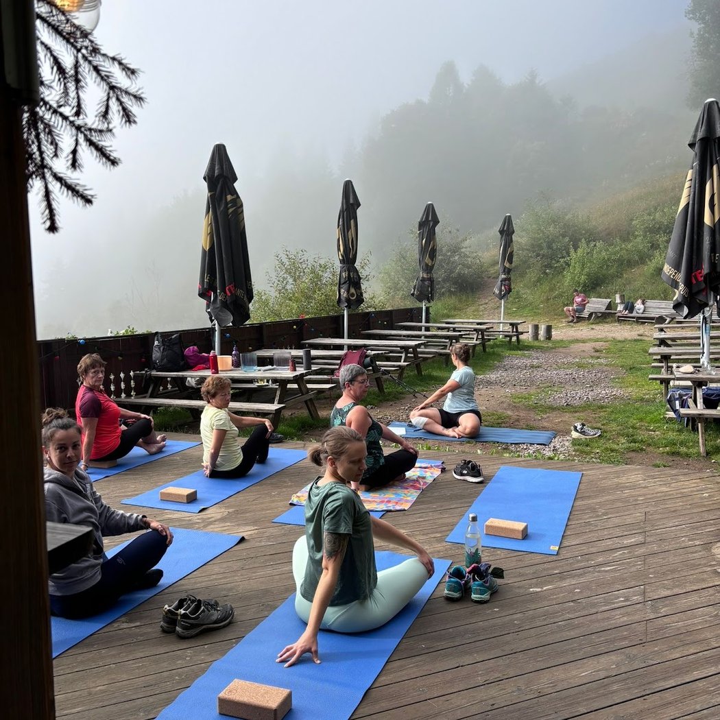 Yoga Lisa - Professeure De Yoga Colmar Et Vallée De Munster 3