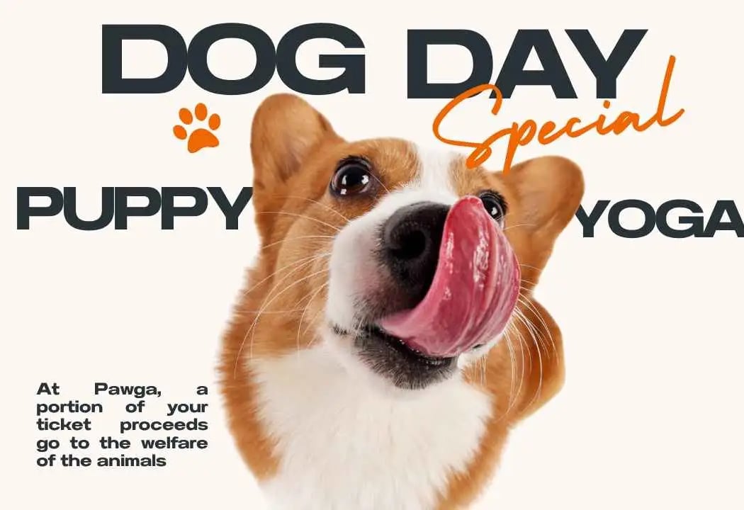 Pawga's Dog Day Spl Puppy Yoga
