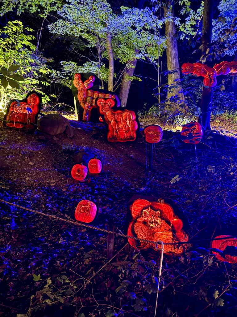 Harvest Glow 1
