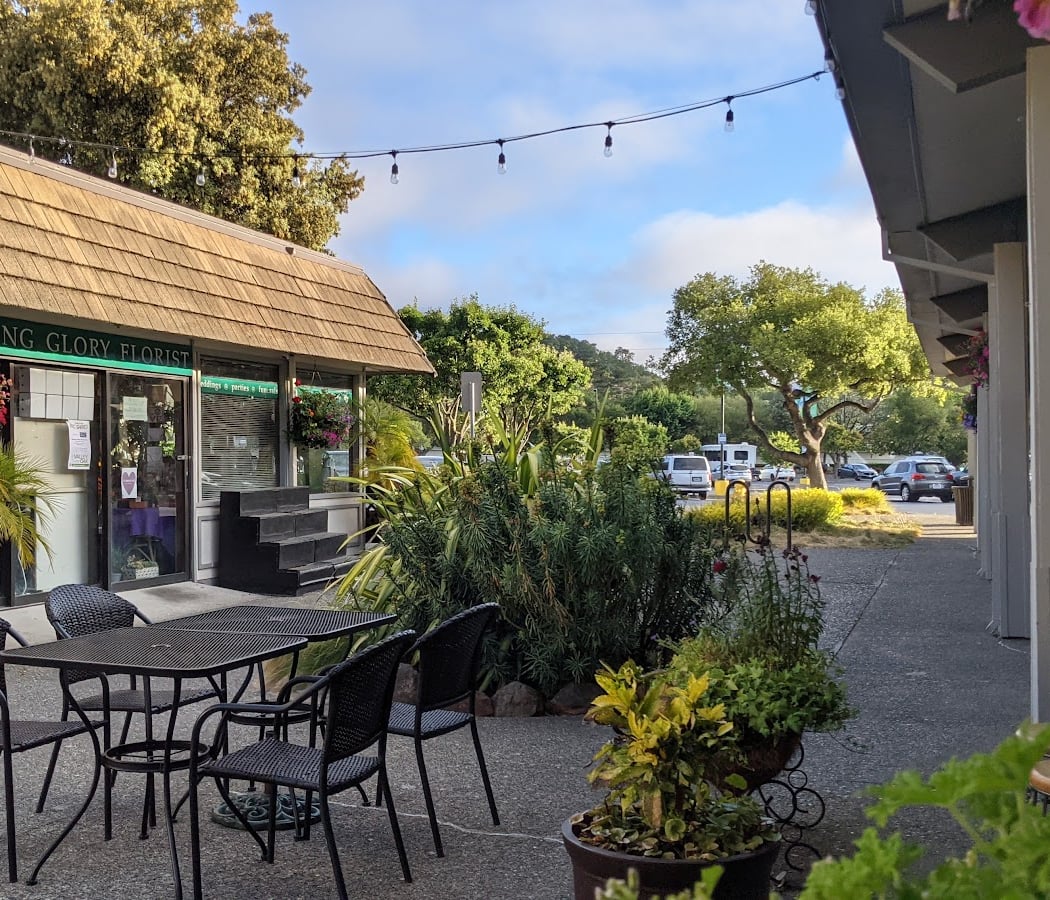 Novato Art Wine & Music Festival 2026 2