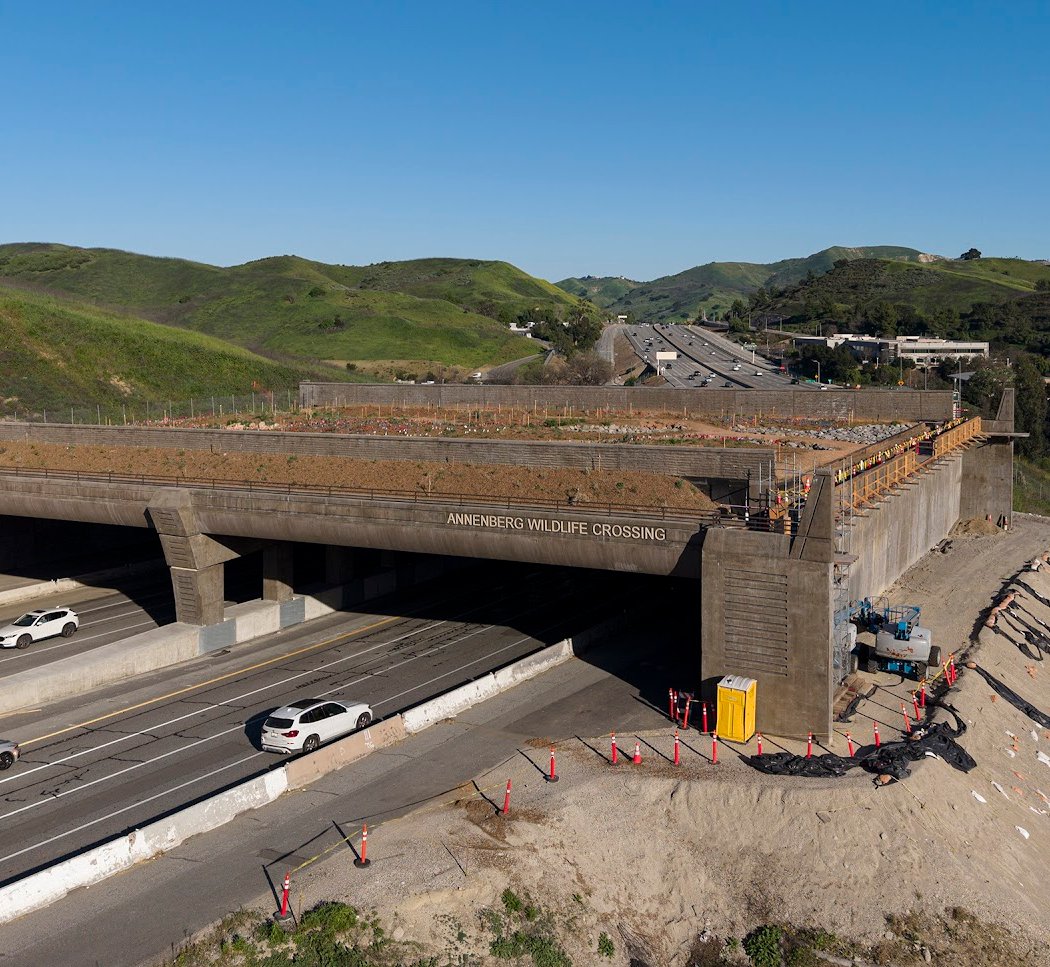 Annenberg Wildlife Crossing 2