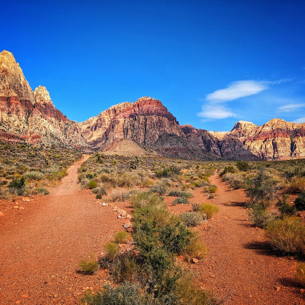 Red Rock Canyon National Conservation Area 1