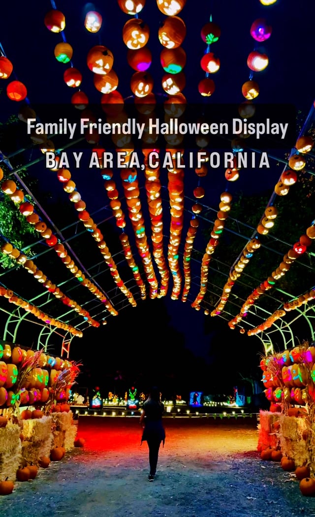 Pumpkins After Dark 2