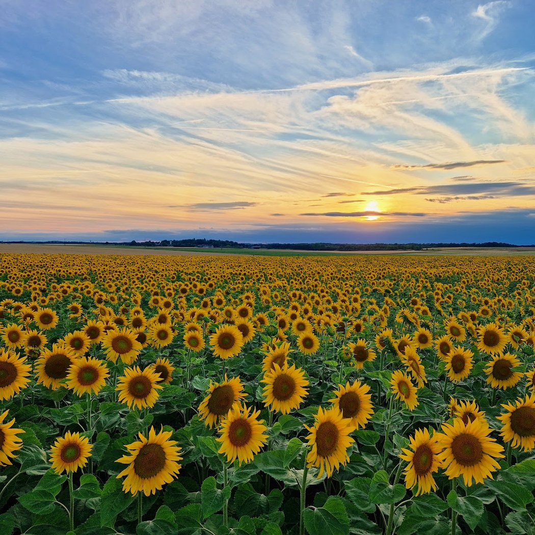 Parc naturel régional du Gâtinais français 1