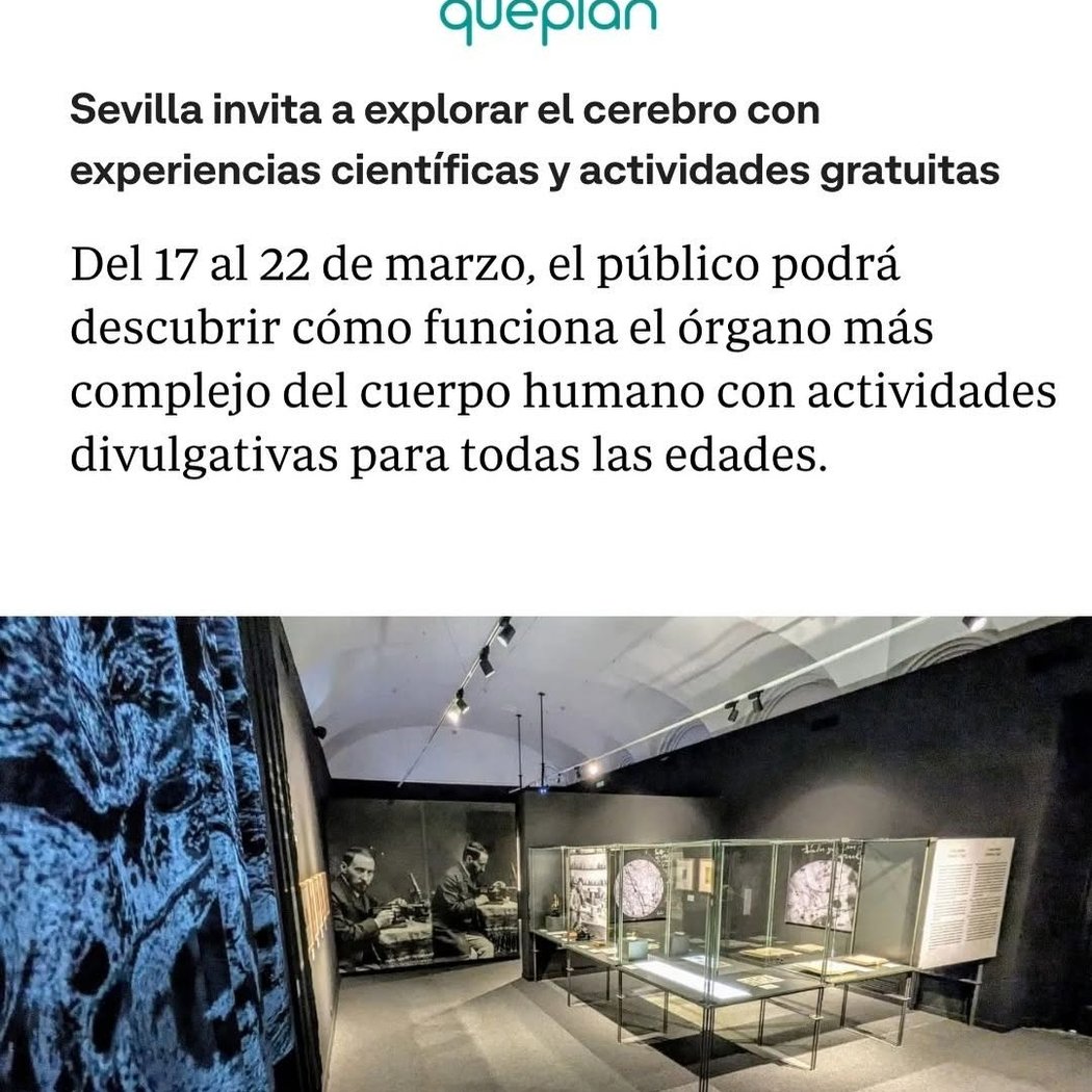 Semana del Cerebro 3